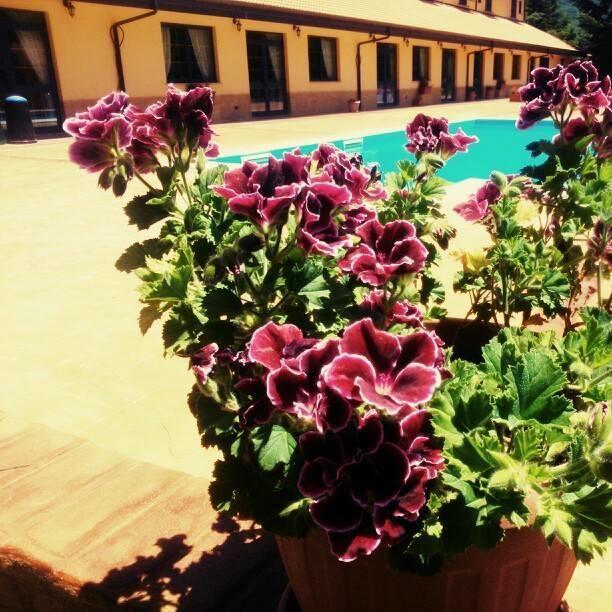 Martirano Del Riccio Hotel المظهر الخارجي الصورة